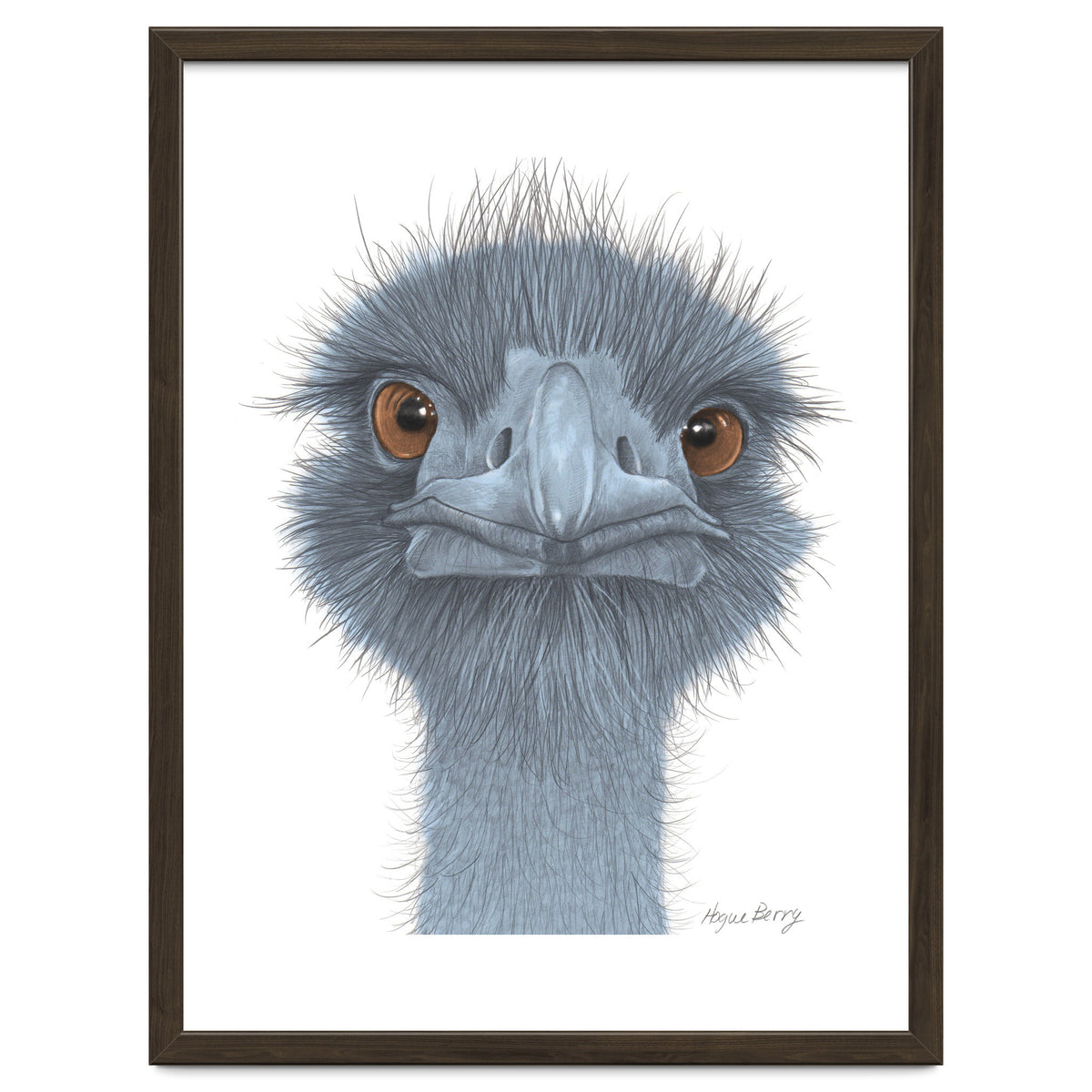 The Blue Emu