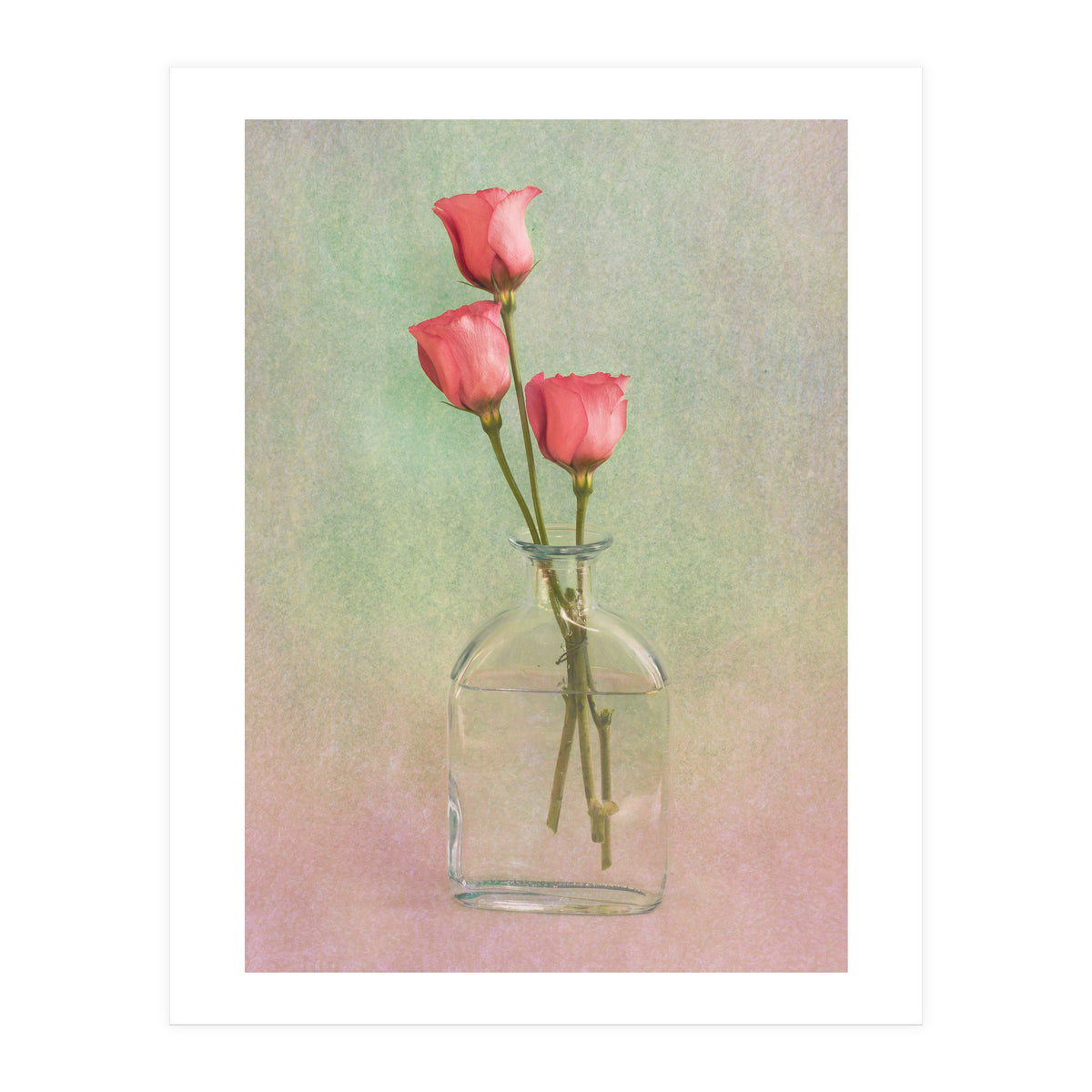 Three In A Flask (Print Only)