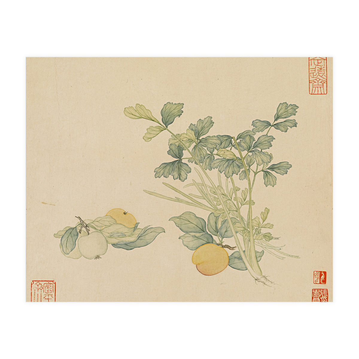 Wang Chengyu~flowers And Vegetables, Vegetables, Fruits, Plums, Apricots, Celery (Print Only)