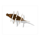 Sailing Ship (Print Only) thumbnail
