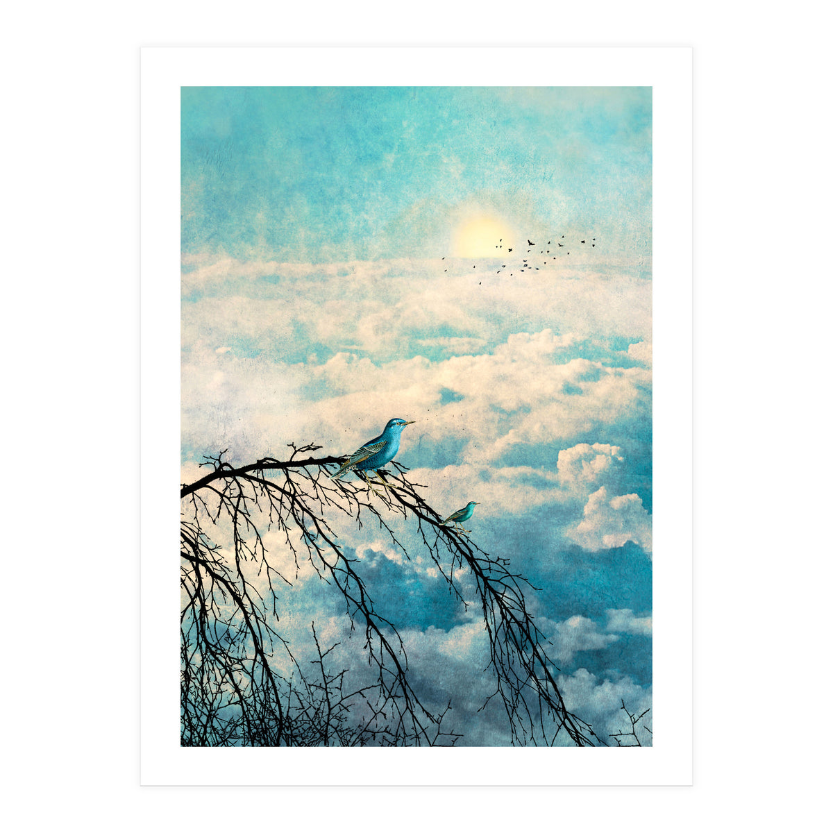 HEAVENLY BIRDS III-B2 (Print Only)
