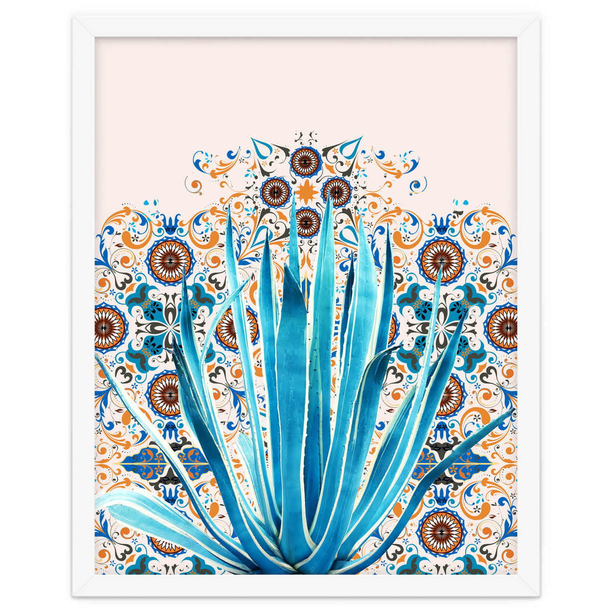 Cactus and Moroccan tiles