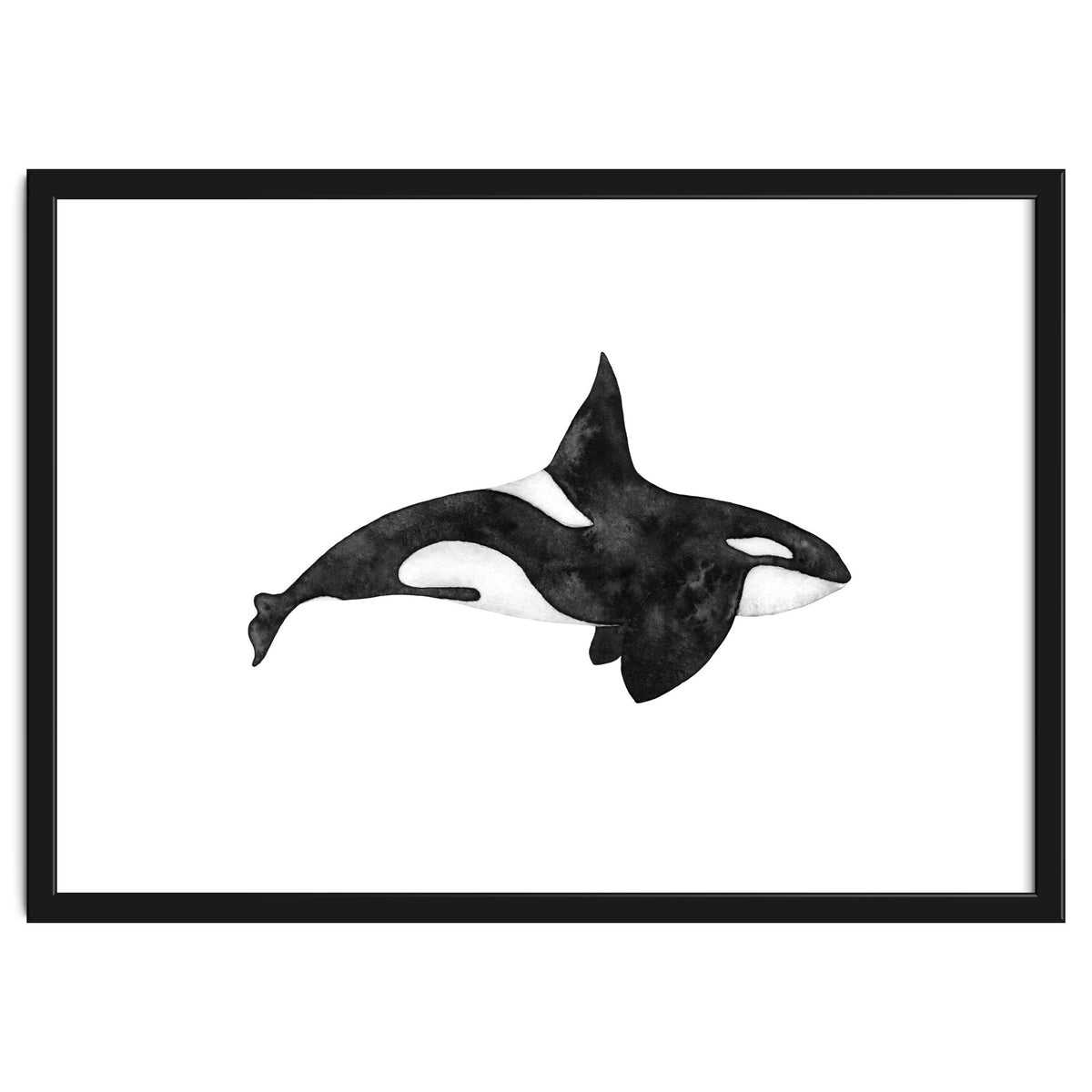 Orca