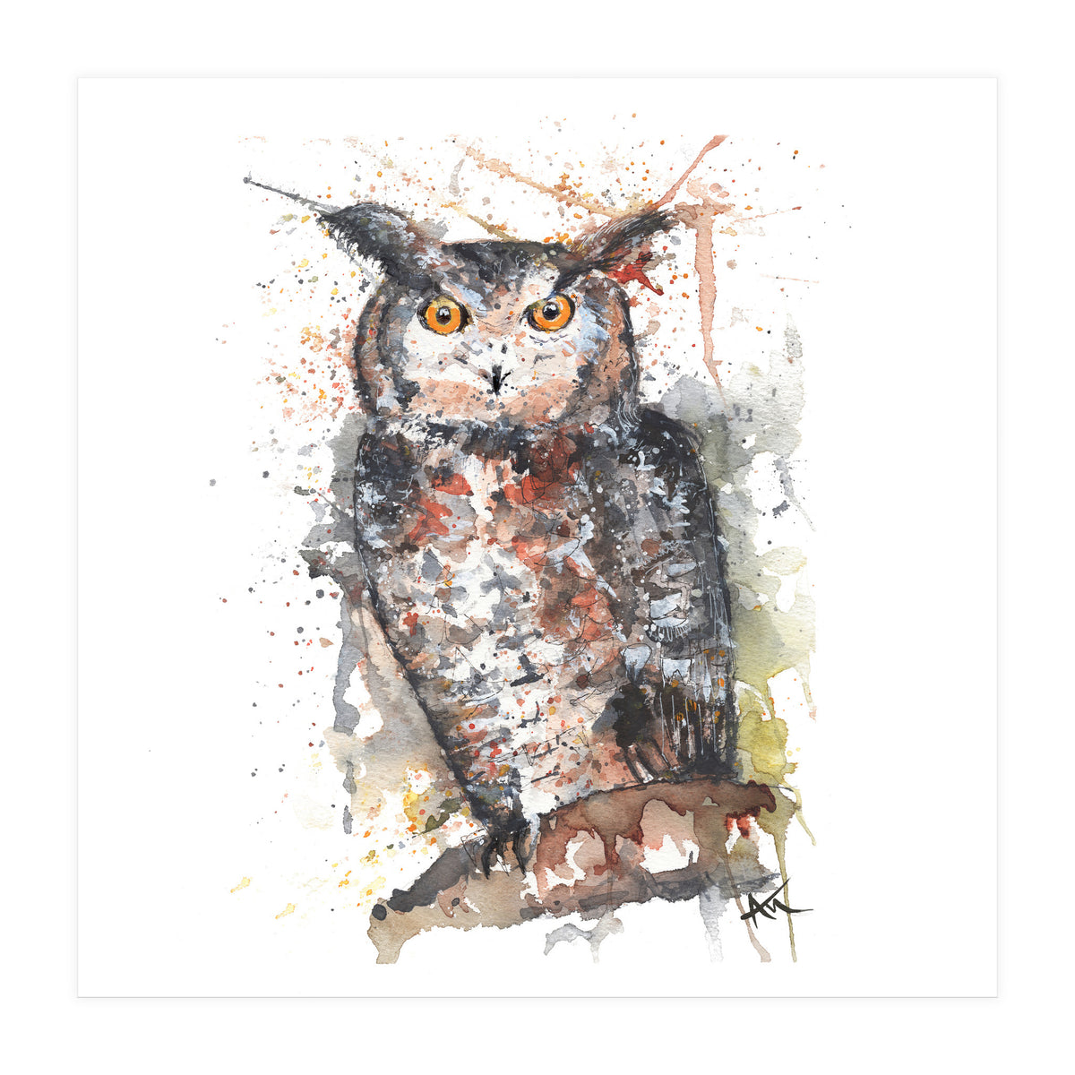 Owl - Wildlife Collection (Print Only)