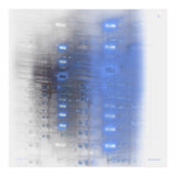 Her trip home. Six (Print Only) thumbnail