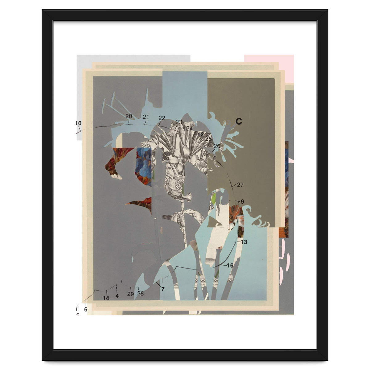 The First Plant · D