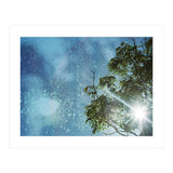 Sun Through Trees (Print Only) thumbnail