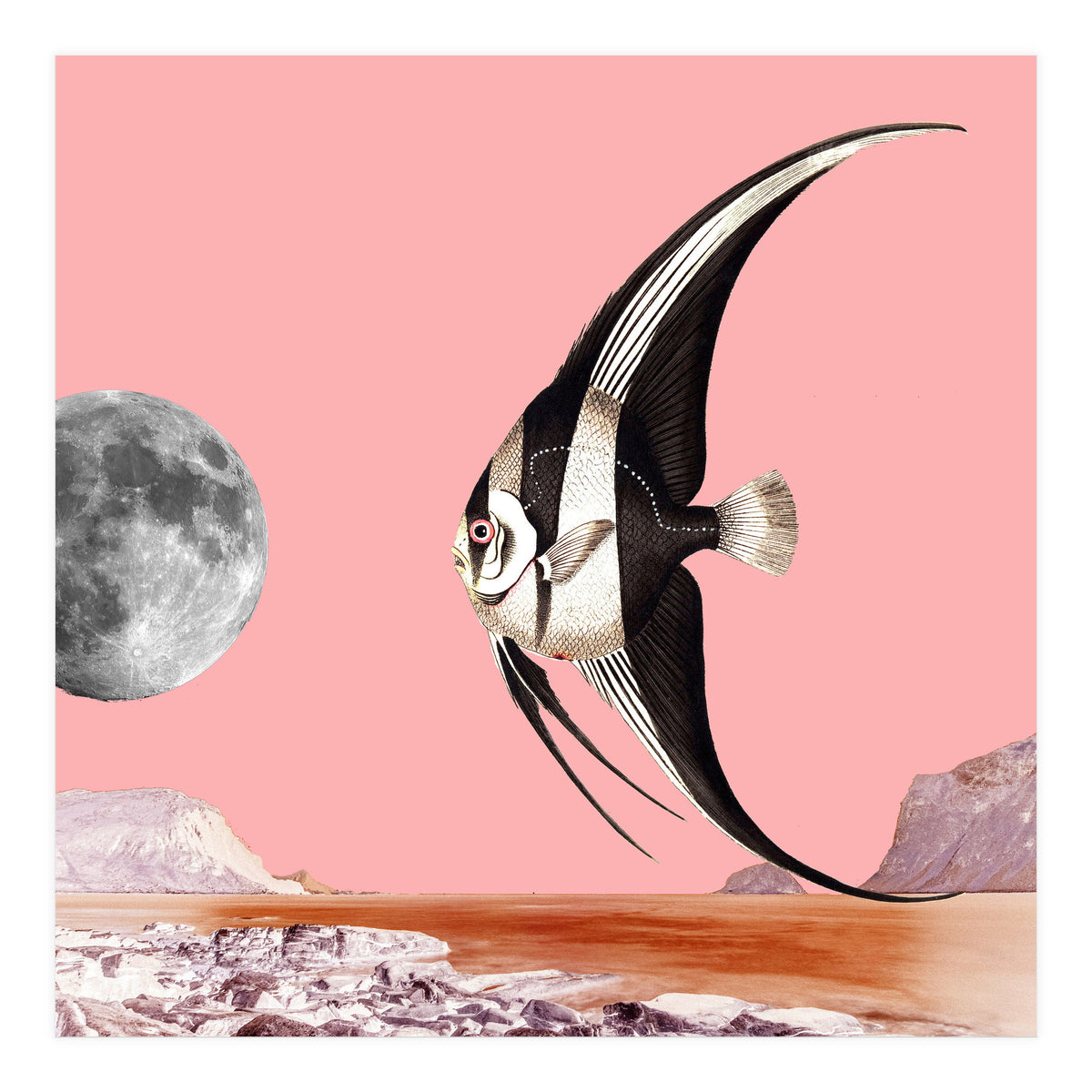 Plenty Of Fish In The Sea Pink (Print Only)