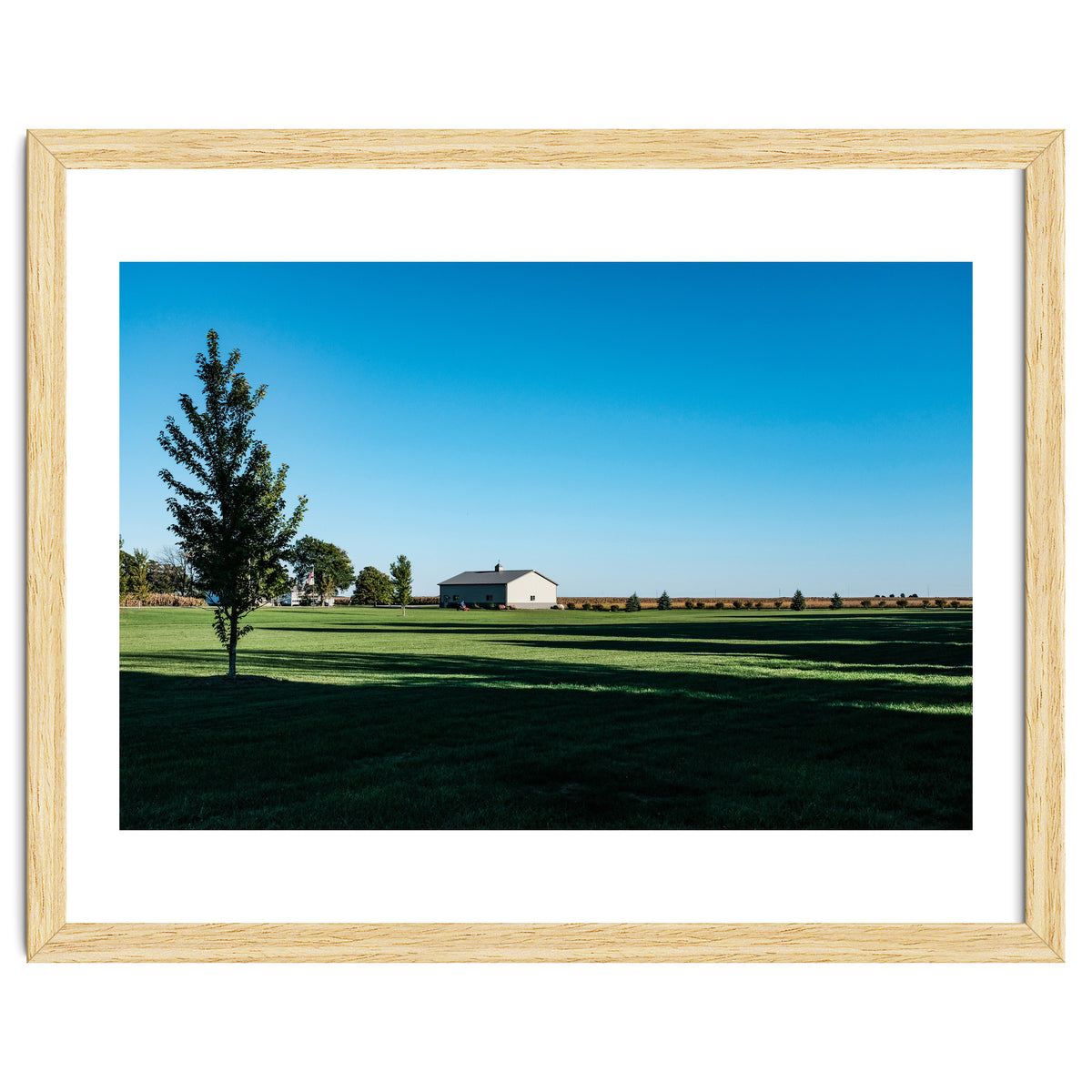 Summer evening, rural Illinois