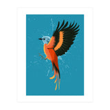 Tropical flying bird (Print Only) thumbnail