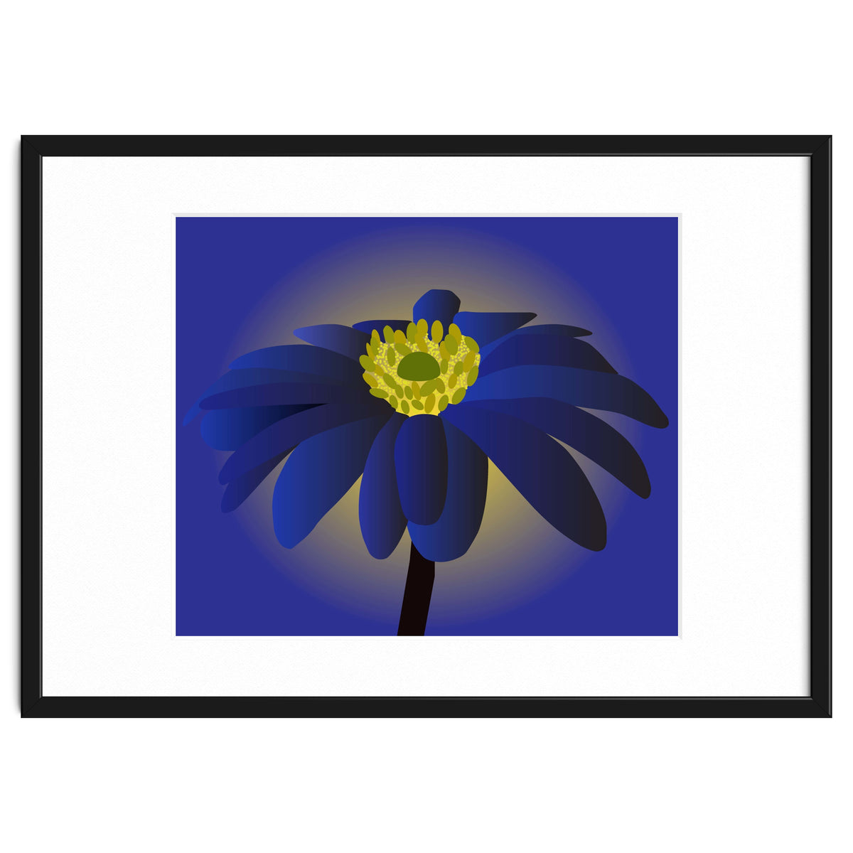 Anemone Blanda Flower Art