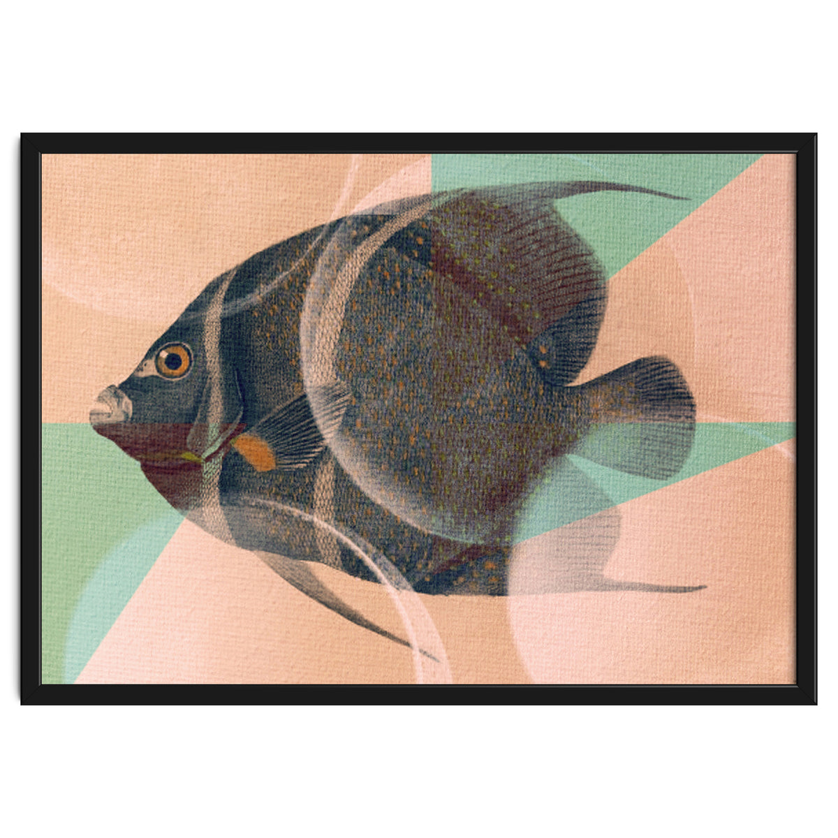 Fish Between Circles 2