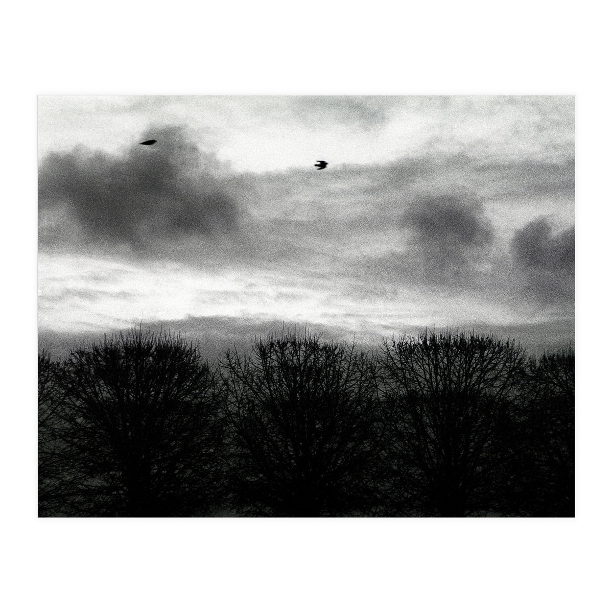 Winter mornig in Paris (Print Only)