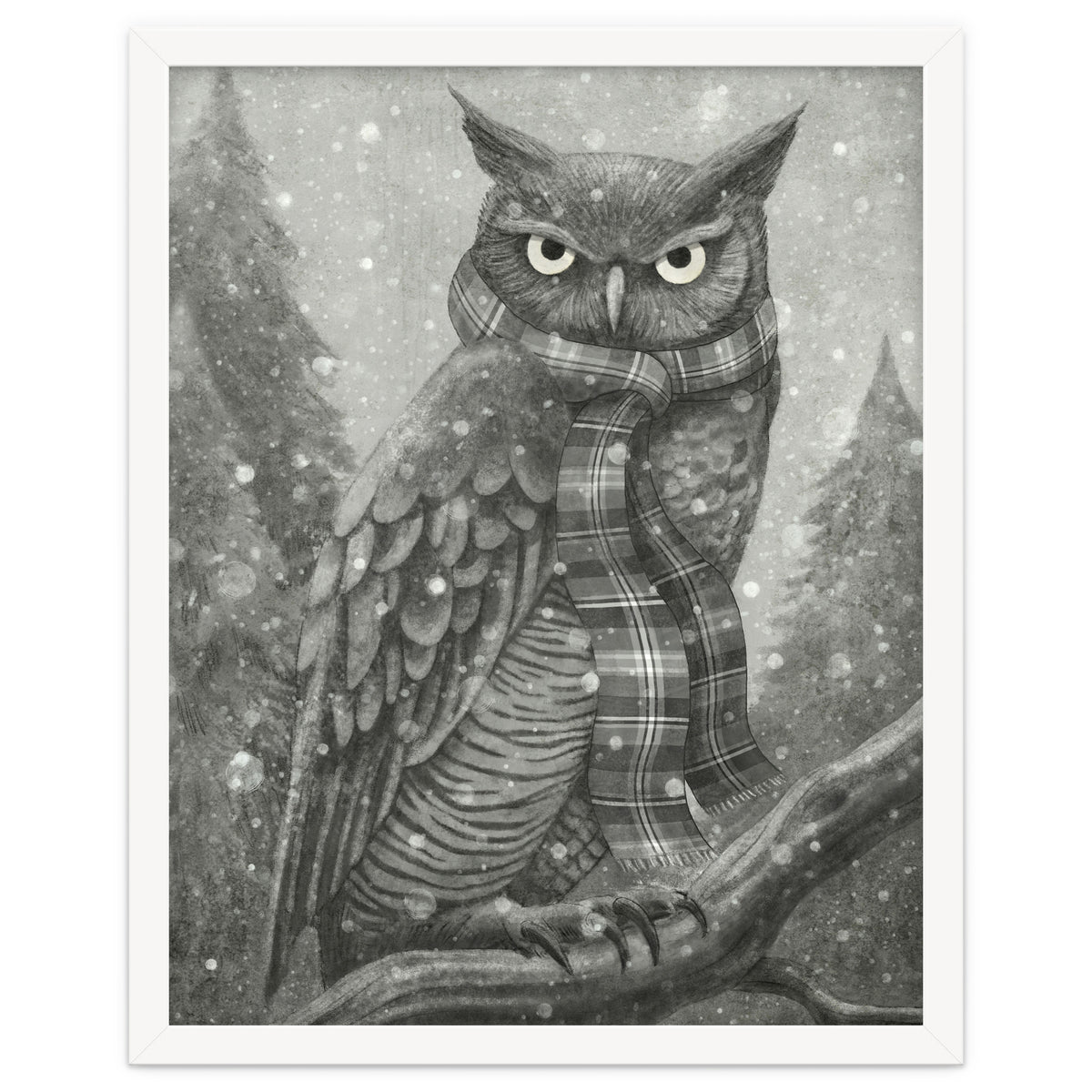 Winter Owl