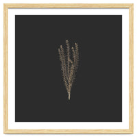 Delicate Fynbos Botanicals in Gold and Black - Square