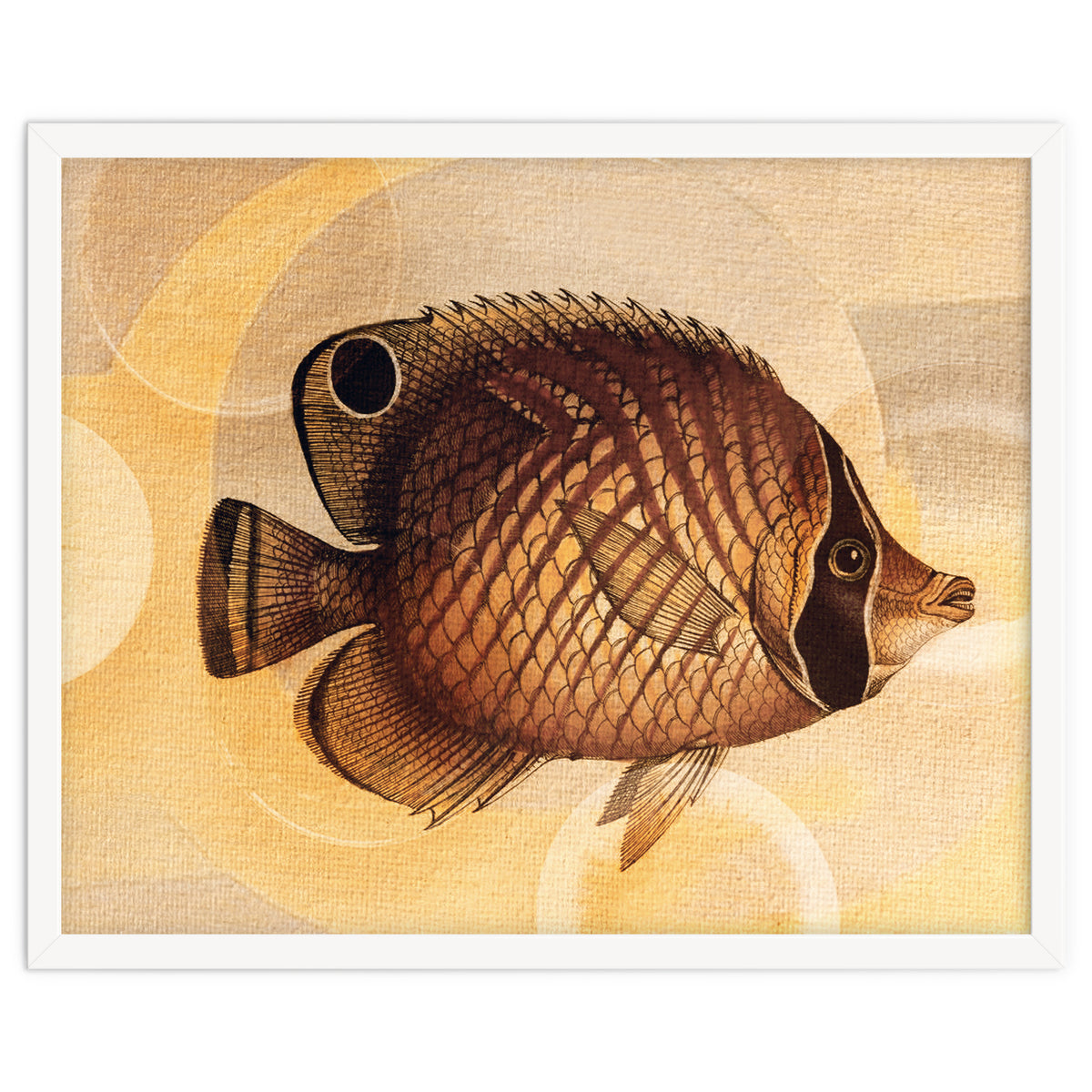 Fish Between Circles 3