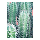 Cactus Up Close (Print Only) thumbnail