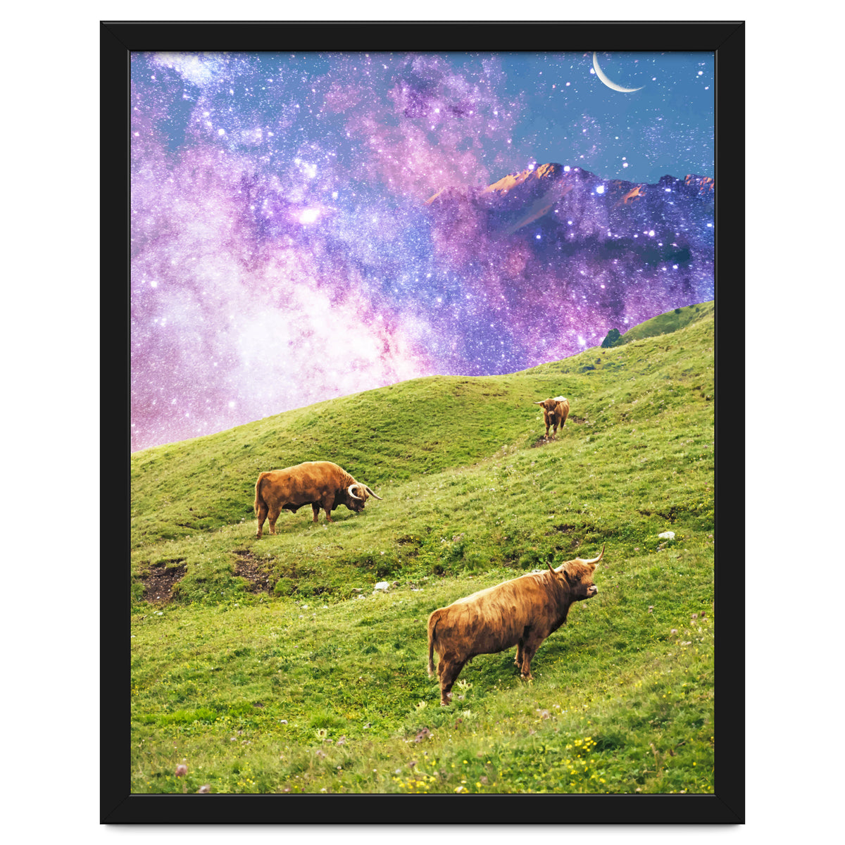 Space Cow Series II