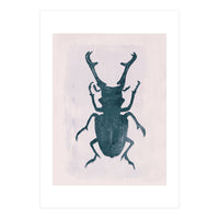 Beetle 3 (Print Only)
