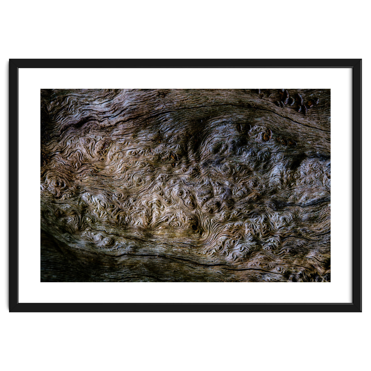 Burlwood pattern in tree