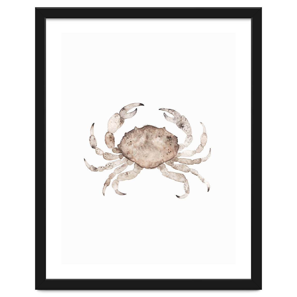 Crab