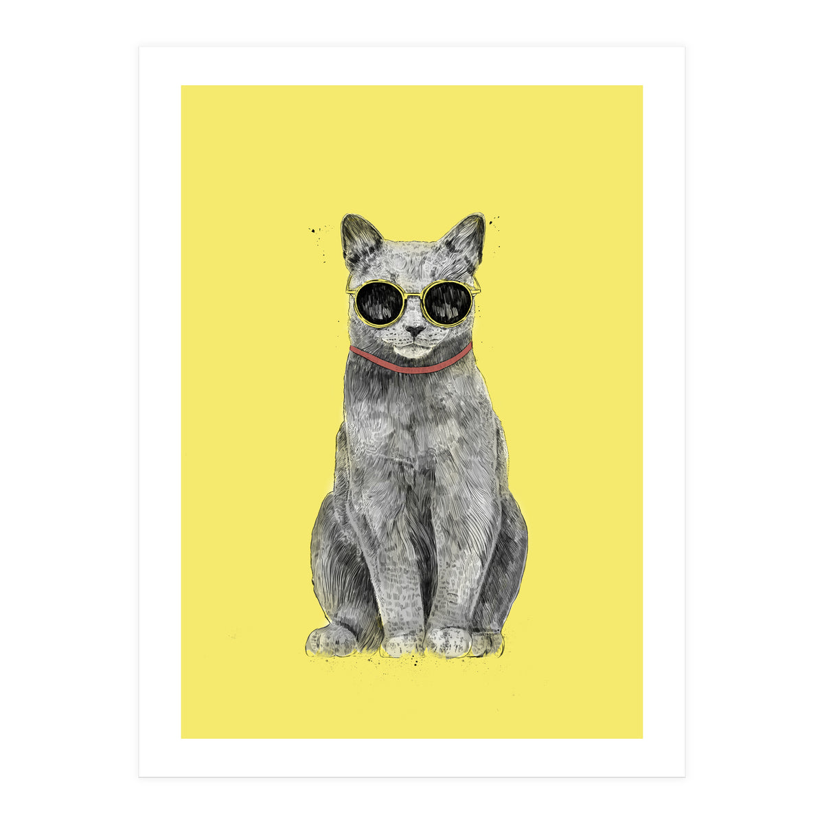 Summer Cat (Print Only)