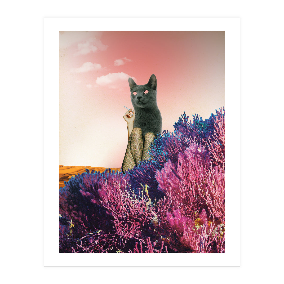 Atmosphere · The Funny Side (Print Only)