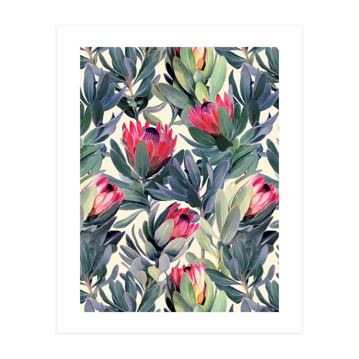 Painted Protea Pattern (Print Only)