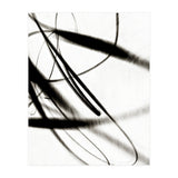 Alento2 (Print Only) thumbnail