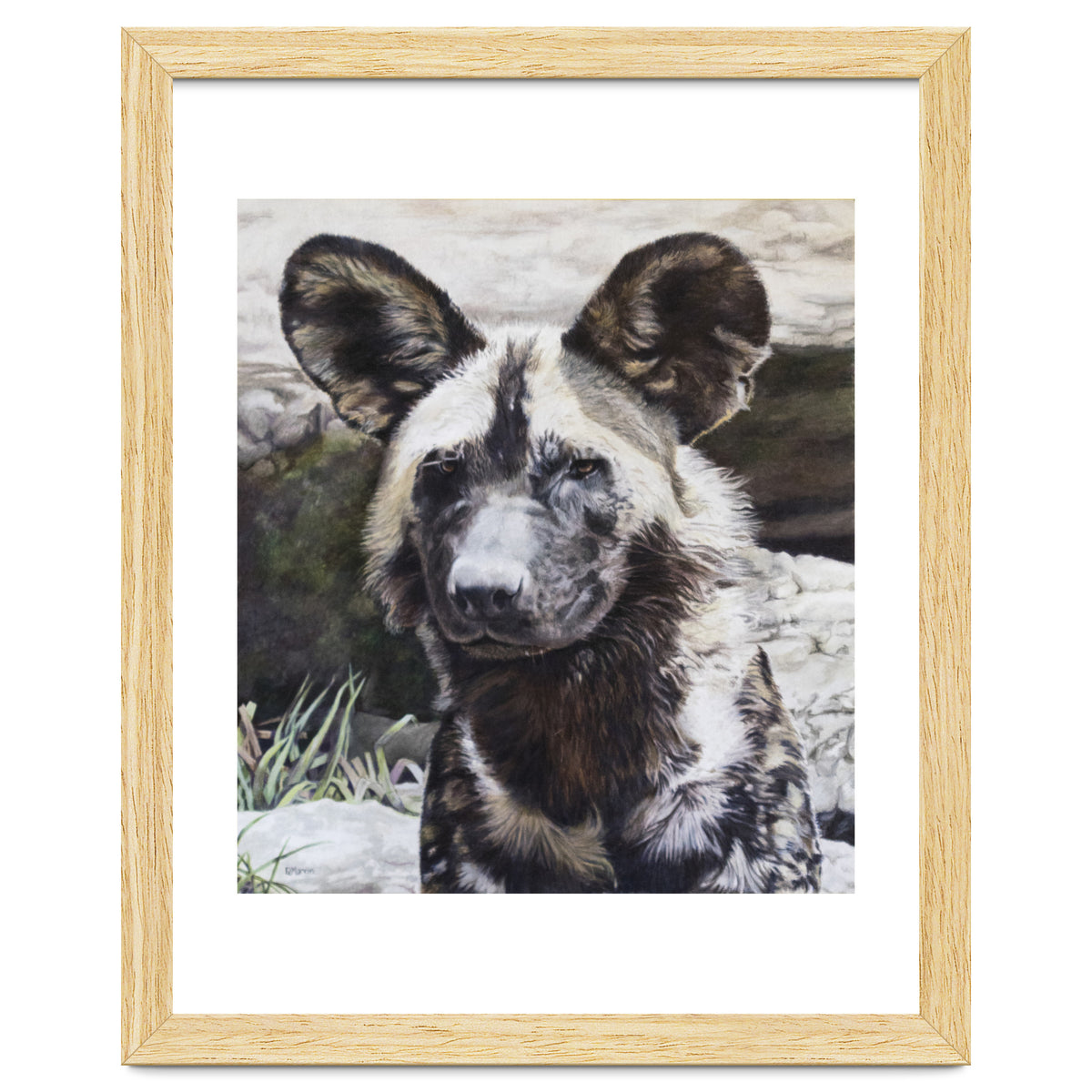 African Painted Dog II