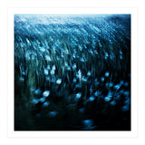 dandelion meadow (Print Only) thumbnail
