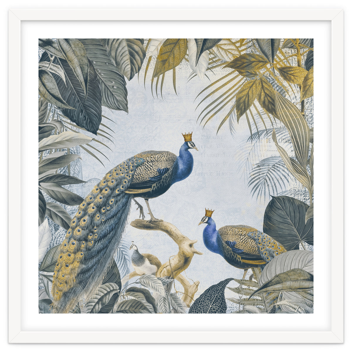 Fantastic Peacock Kings Gold Look