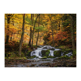 Selkewaterfal (Print Only) thumbnail