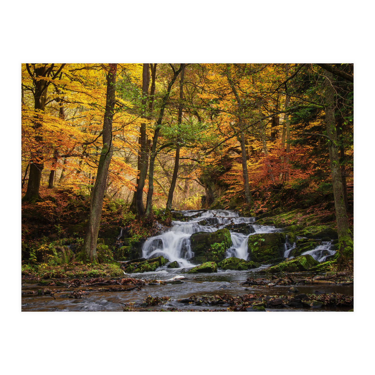 Selkewaterfal (Print Only)