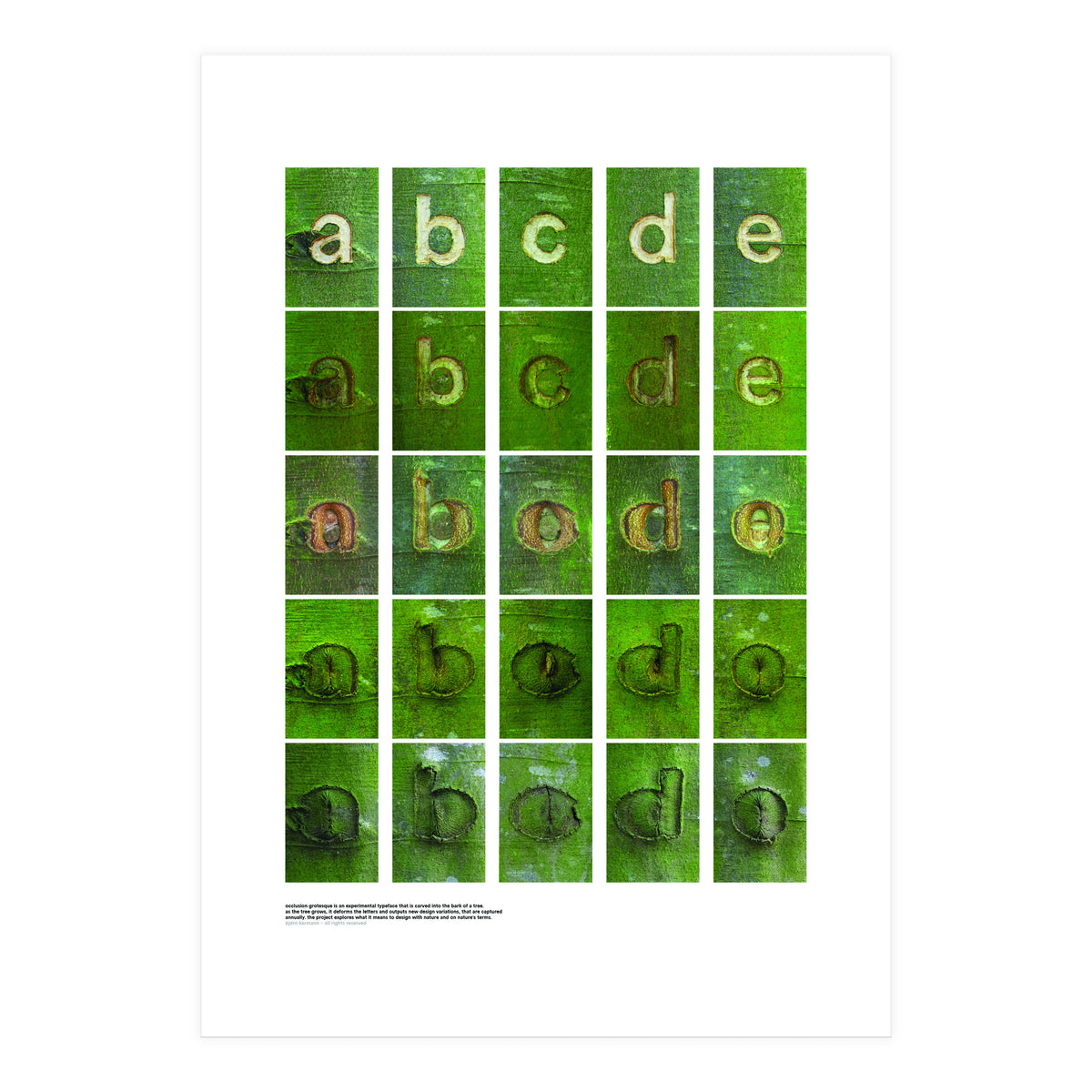 abcde (Print Only)