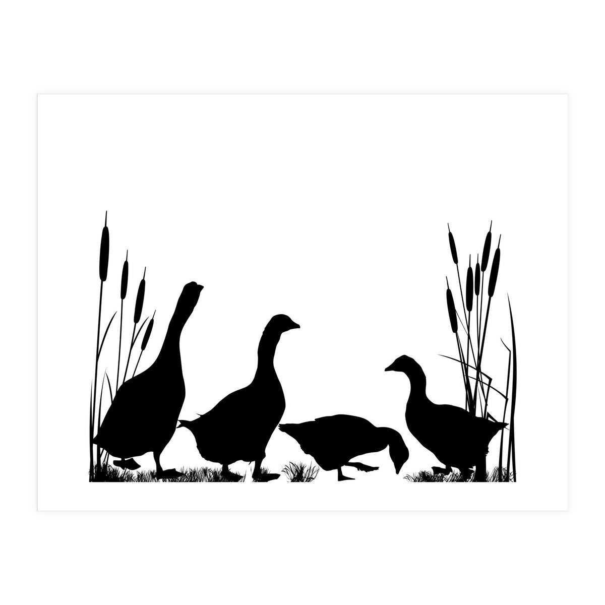 Goose talk (Print Only)