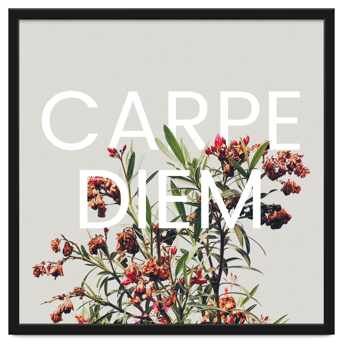 Carpe Diem
