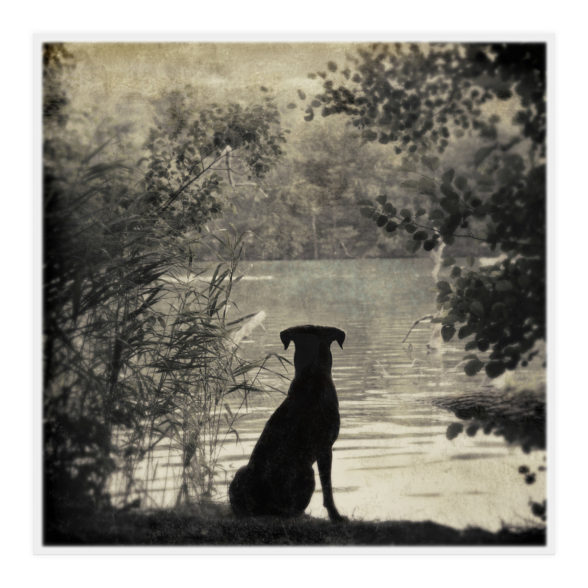 Waiting for you (Print Only)