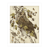 Great Horned Owl (Print Only) thumbnail