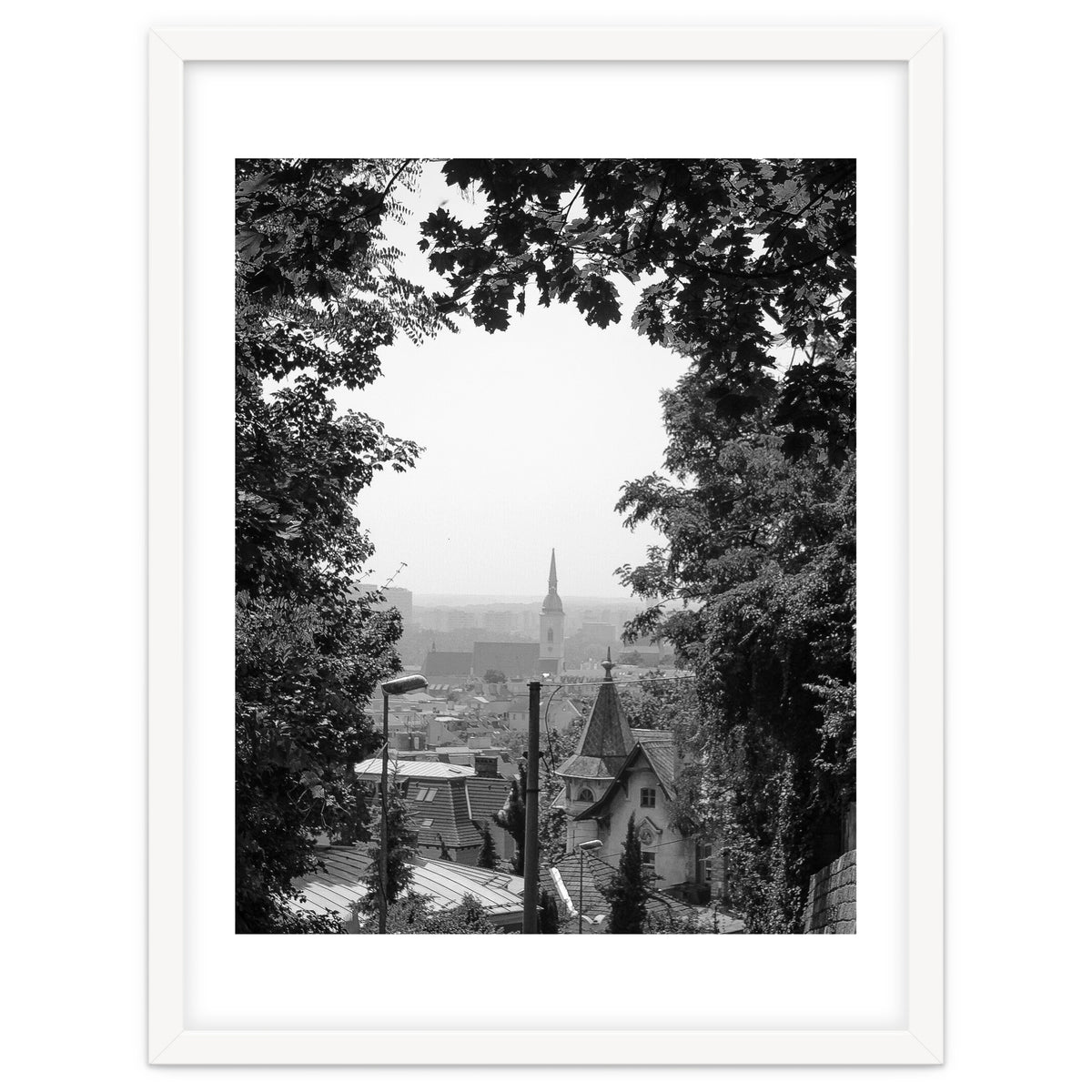 Bratislava Reflection