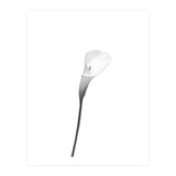 Calla | bright design (Print Only) thumbnail