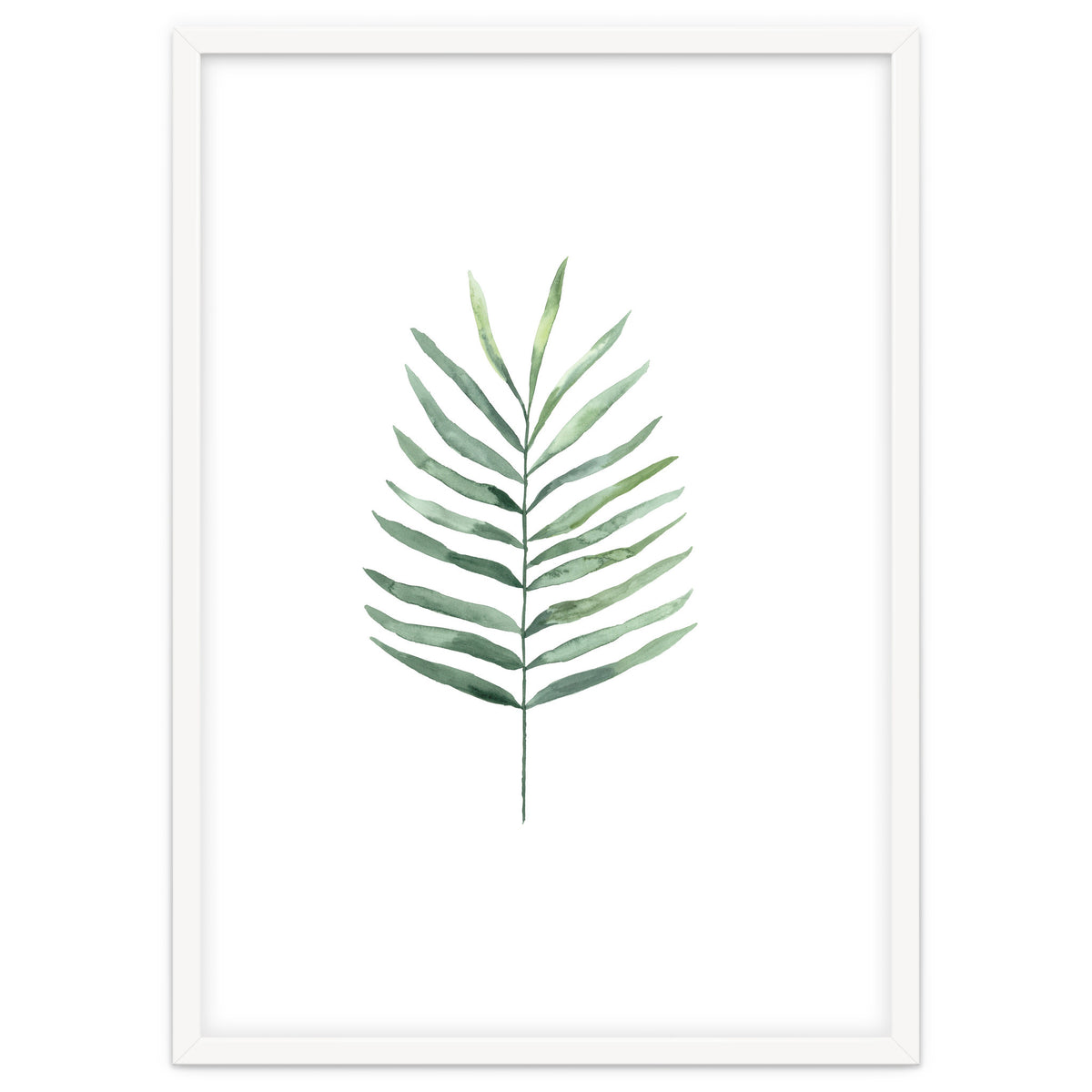 Botanical Illustration Fern