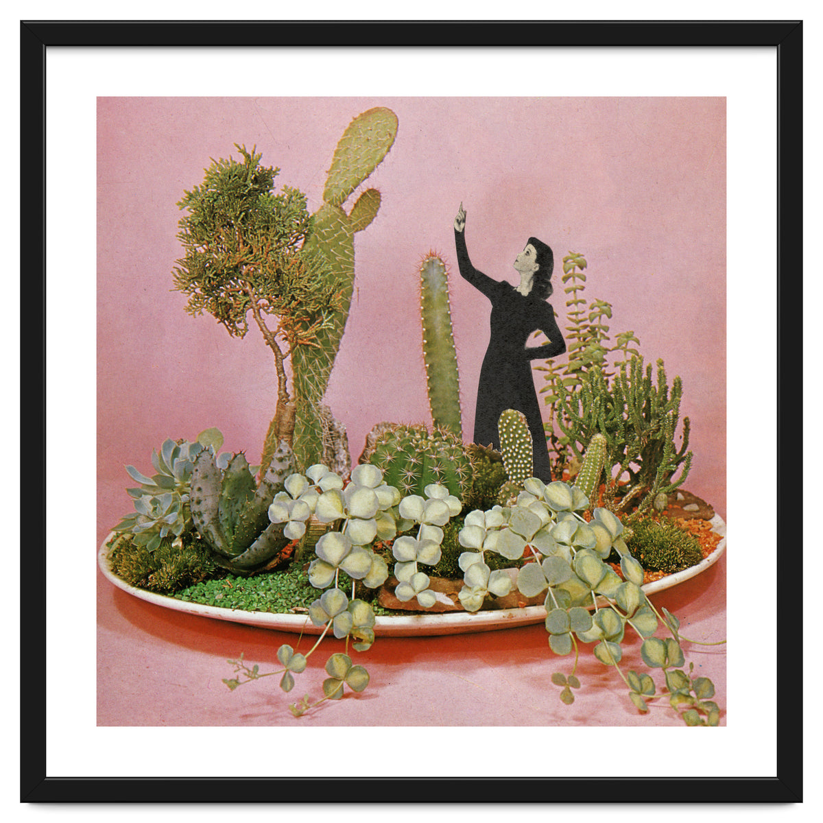 The Wonders Of Cactus Island