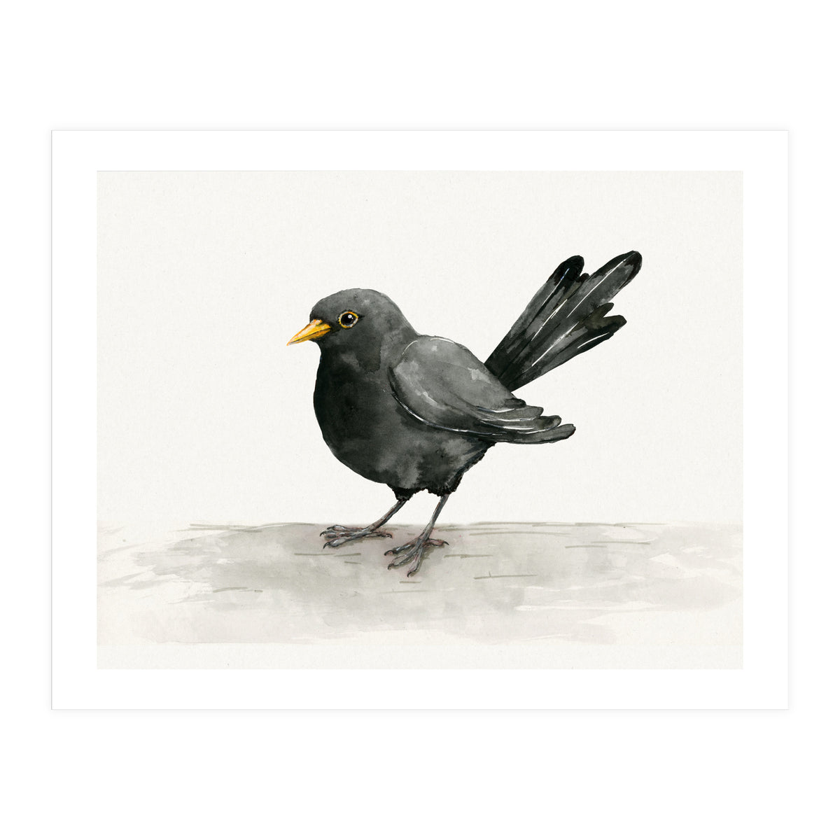 Blackbird ink drawing (Print Only)