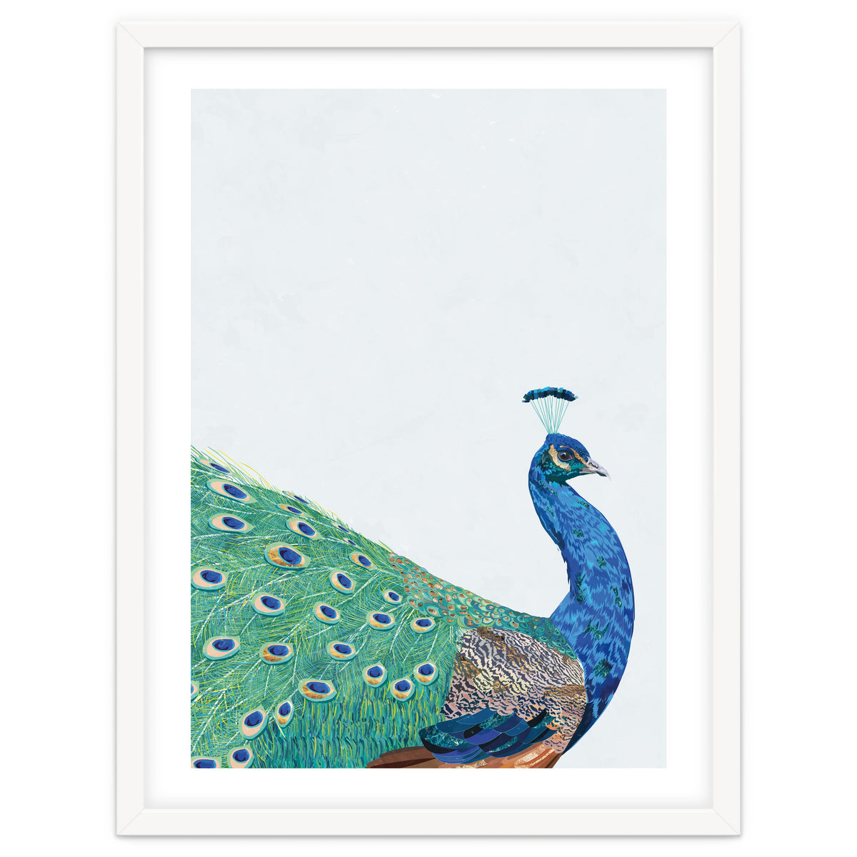 Peacock Portrait