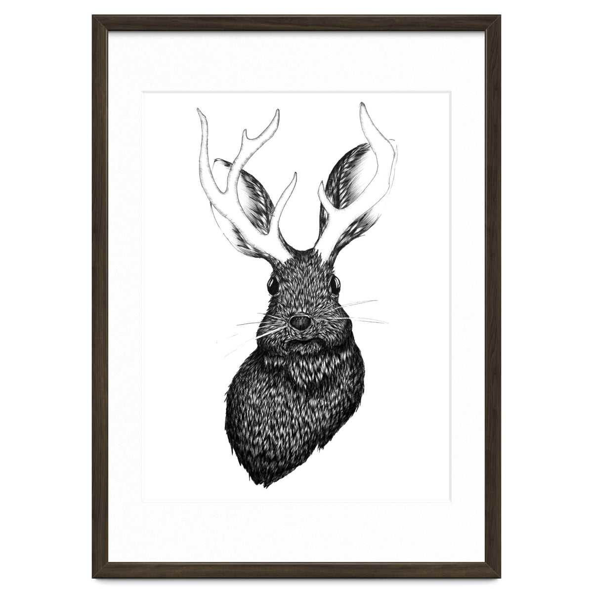 Jackalope