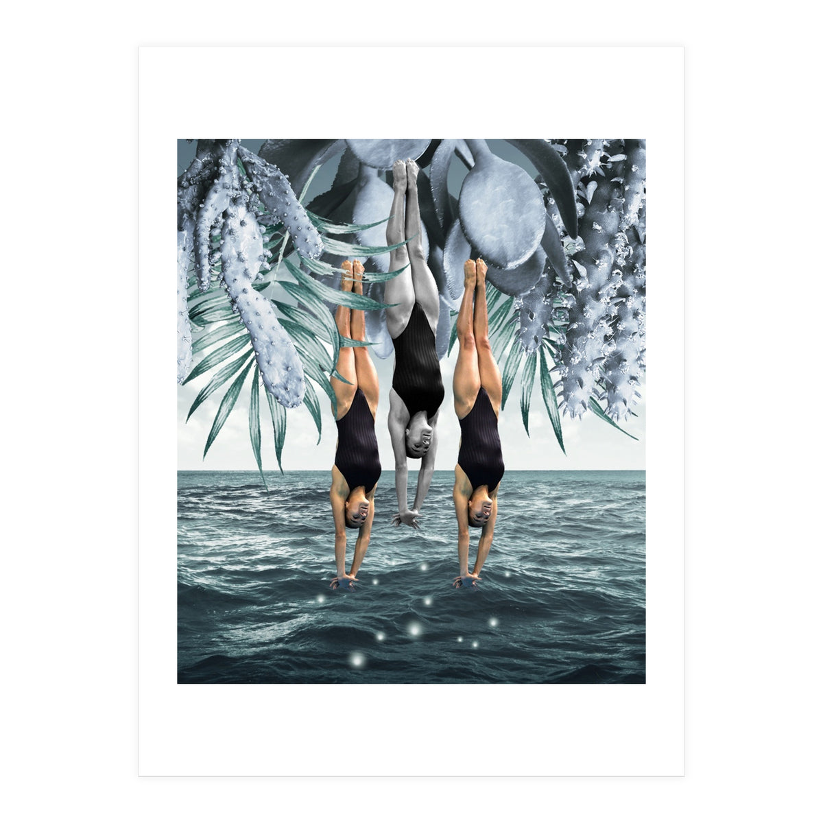 Dive Into (Print Only)