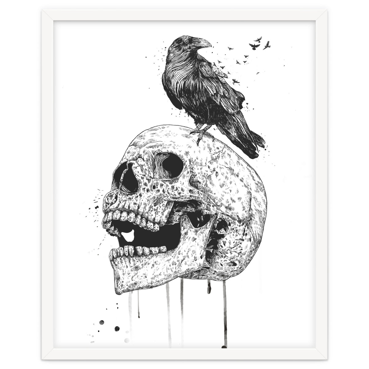 New Skull (bw)