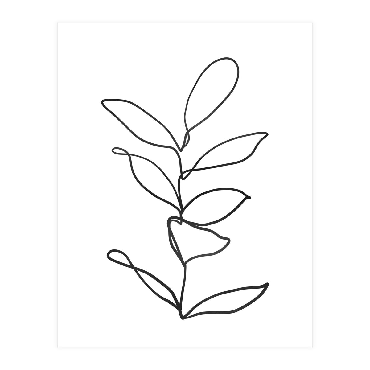 Lines Leaves II (Print Only)