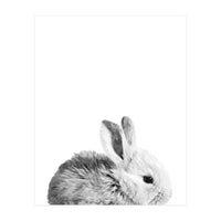Black and White Bunny Portrait (Print Only)